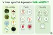 Kép Malahit - higiéniai és kozmetikai készítmény bőrre és nyálkahártyára - 30ml - Elixir