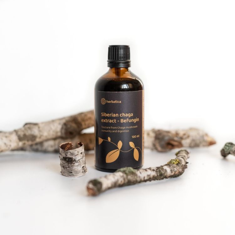 Kép Befungin - tinktúra szibériai Chaga kivonattal - 100 ml - Herbatica