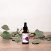 Kép Hidegen sajtolt, 100% BIO fügekaktusz olaj 30ml – Herbatica