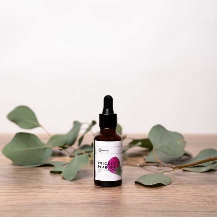 Kép Hidegen sajtolt, 100% BIO fügekaktusz olaj 30ml – Herbatica