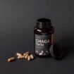 Kép Szibériai Chaga FORTE - 60 vegán kapszula (600mg/kapszula) - Herbatica