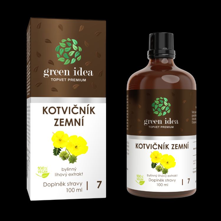 Kép Fűrészpálma tinktúra - cseppek 100 ml - Green idea