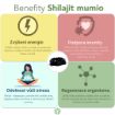 Kép Shilajit - tisztított mumio prémium (500mg) - étrend-kiegészítő - 80 kapszula - Herbatica