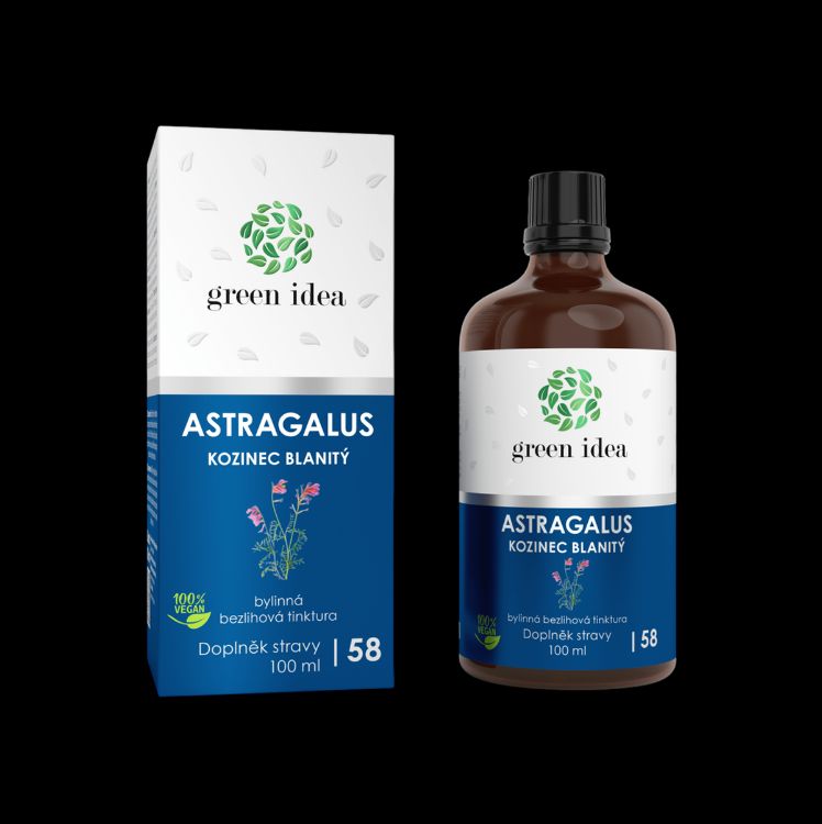 Kép Astragalus - alkoholmentes tinktúra 100 ml - Green idea