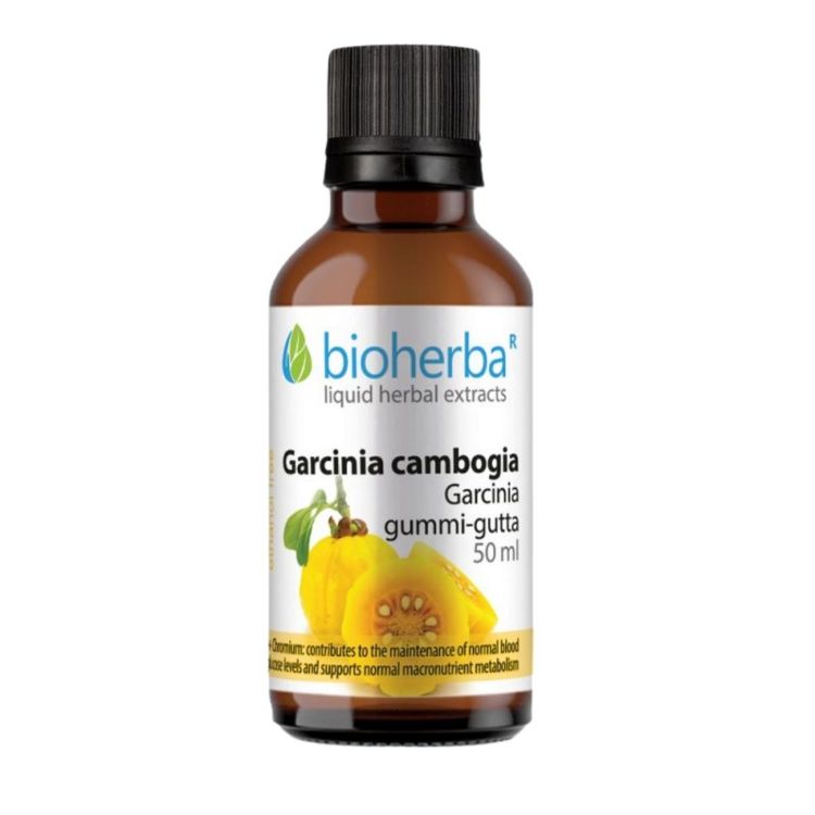 Kép Bioherba Garcinia Cambogia tinktúra cseppek krómmal – 50 ml