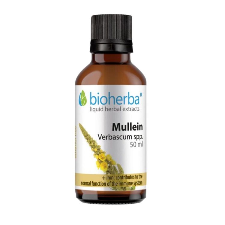Kép Ökörfarkkóró tinktúra cseppek – 50 ml – Bioherba