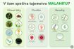 Kép Malahit higiéniai és kozmetikai készítmény bőrre és nyálkahártyára - 30 ml - Elixir