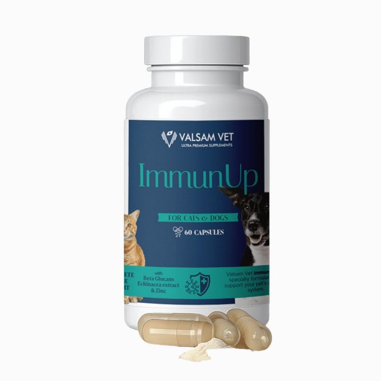 Kép IMMUNUP - immunerősítő készítmény kutyák és macskák számára 60 kapszula - Valsam Vet