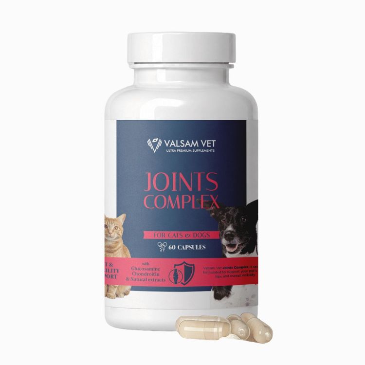 Kép JOINTS COMPLEX - komplex ízületvédő táplálékkiegészítő kutyák és macskák számára 60 kapszula - Valsam Vet