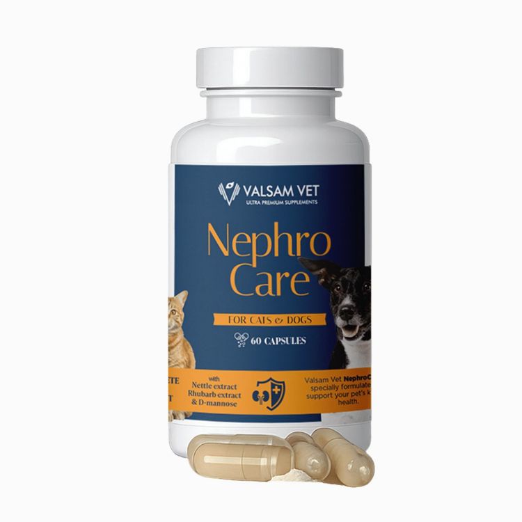 Kép NEPHROCARE - vese- és húgyúti támogatás kutyák és macskák számára 60 kapszula - Valsam Vet