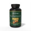Kép Herbatica Homoktövisolaj Forte kapszulában, 500 mg – 60 kapszula