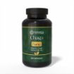 Kép Herbatica Szibériai chaga FORTE – 60 vegán kapszula (600 mg/kapszula)