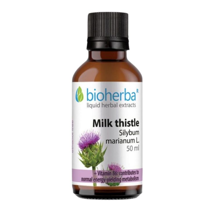 Kép Máriatövis (Silybum marianum) cseppek – tinktúra – 50 ml – Bioherba