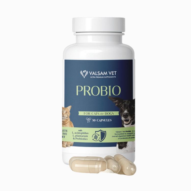 Kép PROBIO - probiotikumok és prebiotikumok kutyák és macskák számára 30 kapszula - Valsam Vet