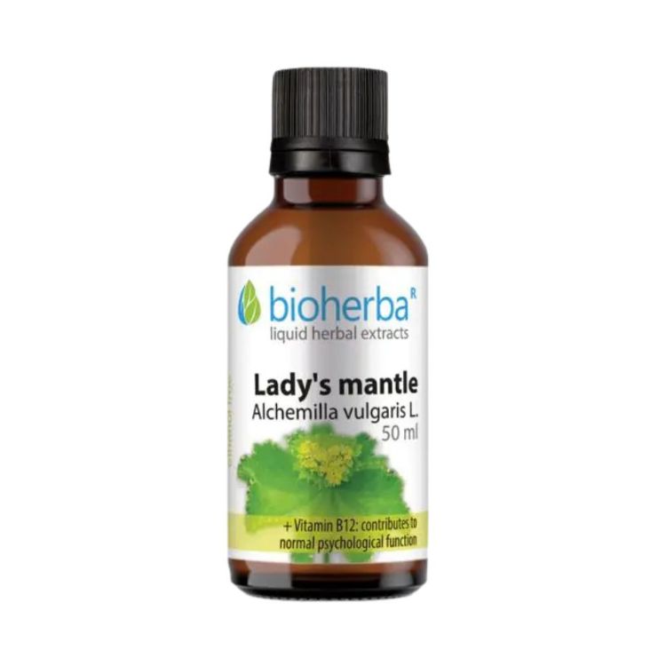 Kép Alchemilla tinktúra cseppek – 50 ml – Bioherba