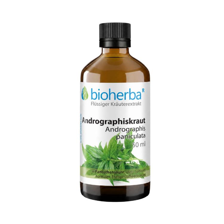 Kép Andrographis tinktúra cseppek – 50 ml – Bioherba