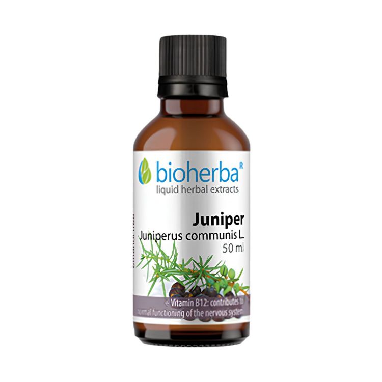 Kép Bioherba Boróka tinktúra cseppek – 50 ml