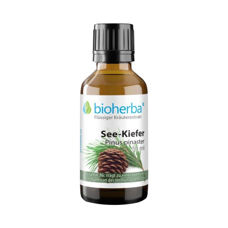 Kép Tengerparti fenyő tinktúra cseppek – 50 ml – Bioherba