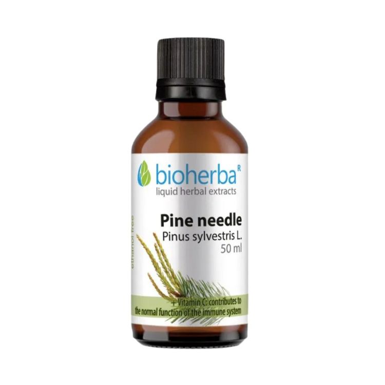 Kép Bioherba Erdeifenyő-hajtás tinktúra cseppek – 50 ml