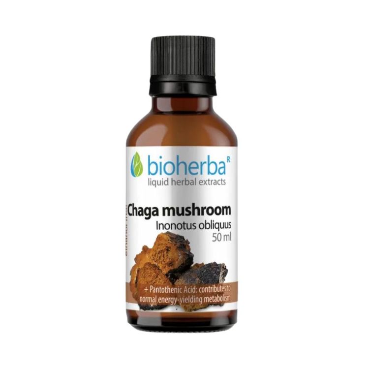Kép Chaga tinktúra cseppek – 50 ml – Bioherba