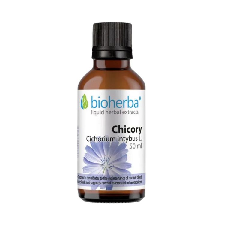 Kép Cikória (kávécikória) tinktúra cseppek – 50 ml – Bioherba