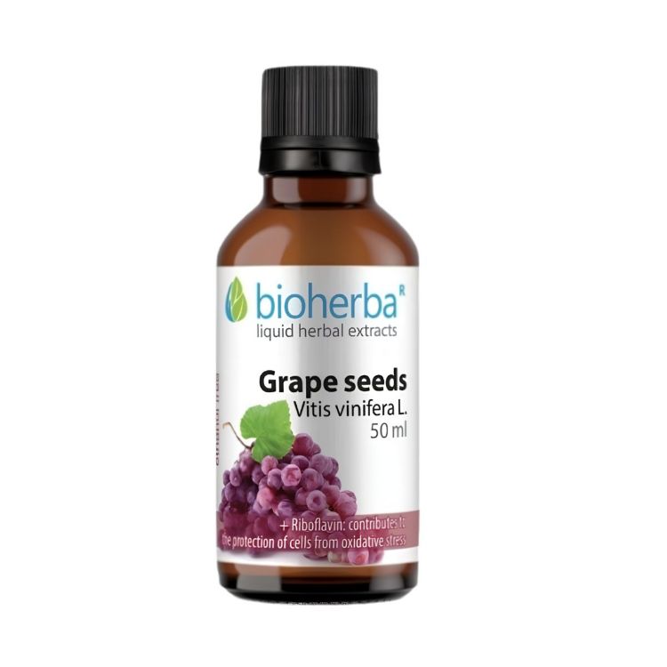 Kép Bioherba Szőlőmag tinktúra cseppek – 50 ml