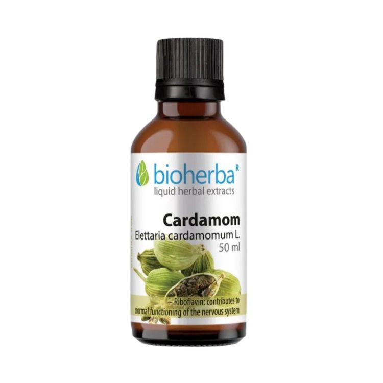 Kép Kardamom tinktúra cseppek - 50 ml - Bioherba