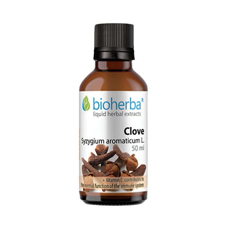 Kép Szegfűszeg tinktúra cseppek – 50 ml – Bioherba