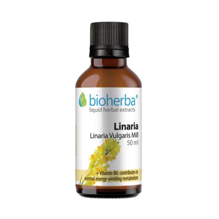 Kép Közönséges gyújtoványfű tinktúra cseppek, 50 ml - Bioherba