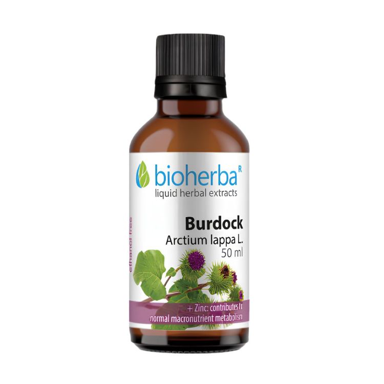 Kép Bioherba nagy bojtorján tinktúra cseppek – 50 ml