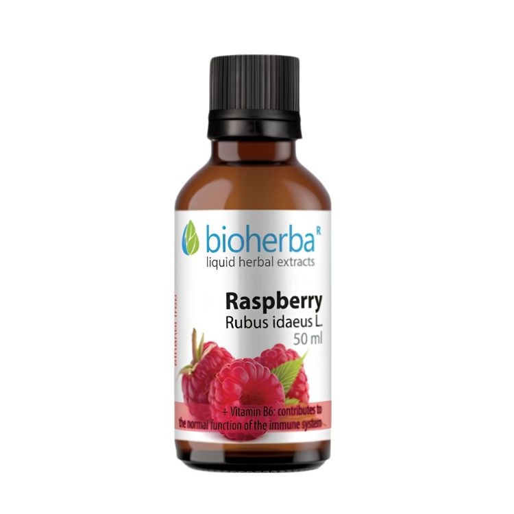Kép Bioherba Málna tinktúra cseppek 50 ml