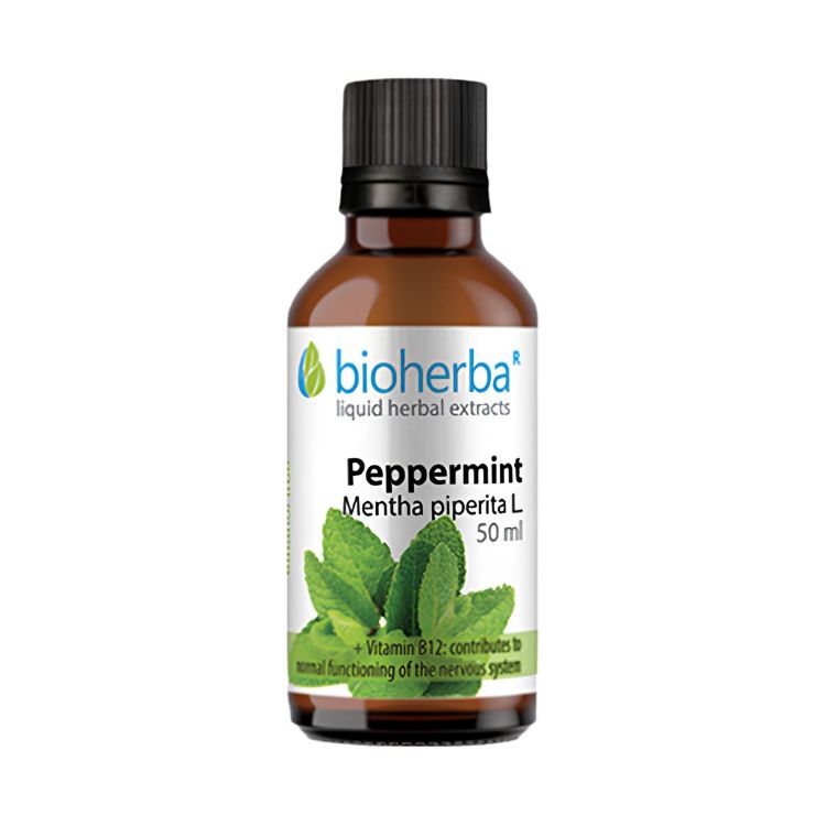 Kép Bioherba Borsmenta tinktúra cseppek, 50 ml