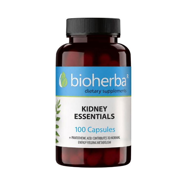 Kép Kidney Essentials – 100 kapszula – Bioherba