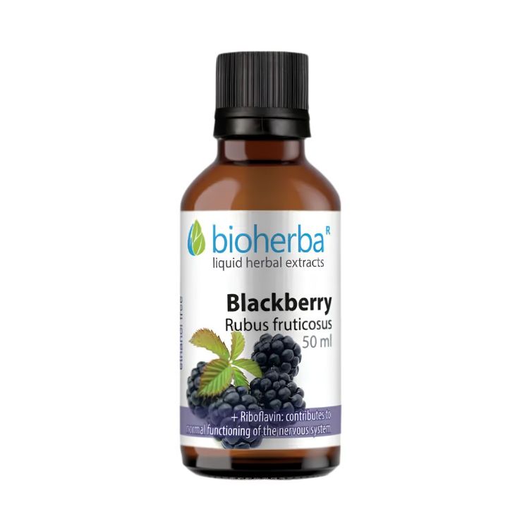 Kép Bioherba Szeder tinktúra cseppek - 50 ml
