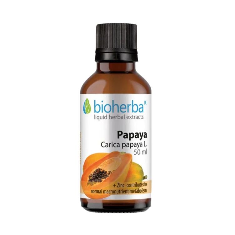 Kép Bioherba Papája tinktúra cseppek – 50 ml