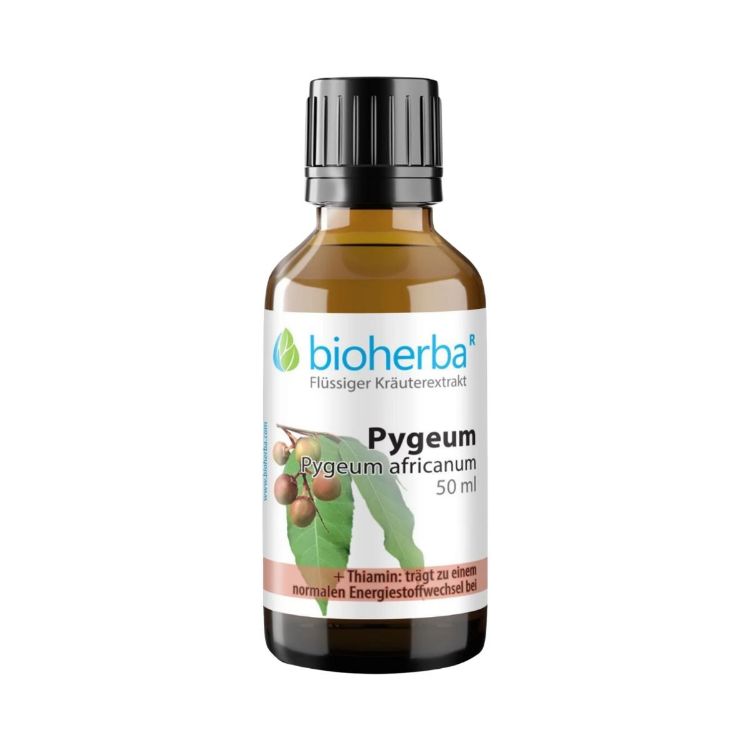 Kép Pygeum (afrikai szilva) tinktúra cseppek – 50 ml – Bioherba