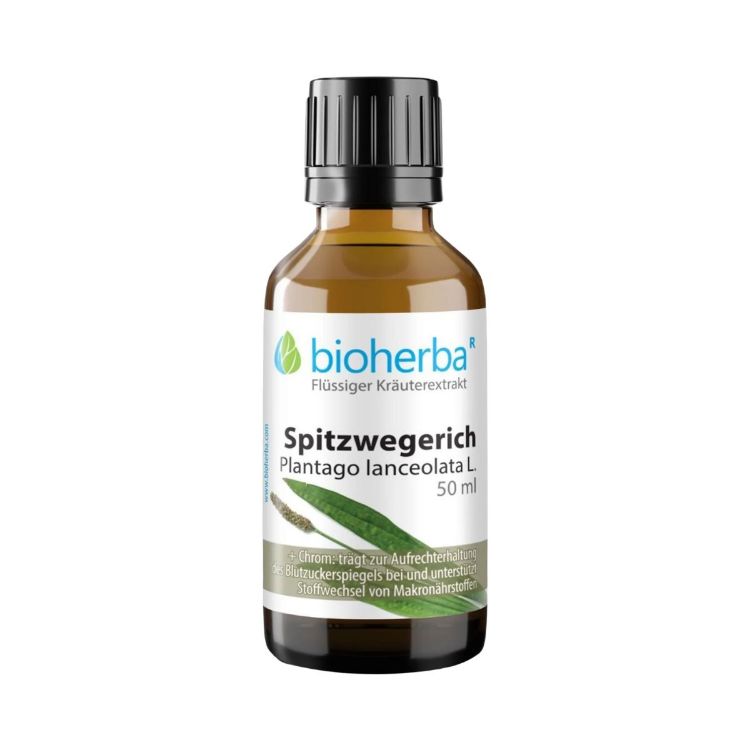 Kép Lándzsás útifű tinktúra cseppek – 50 ml – Bioherba