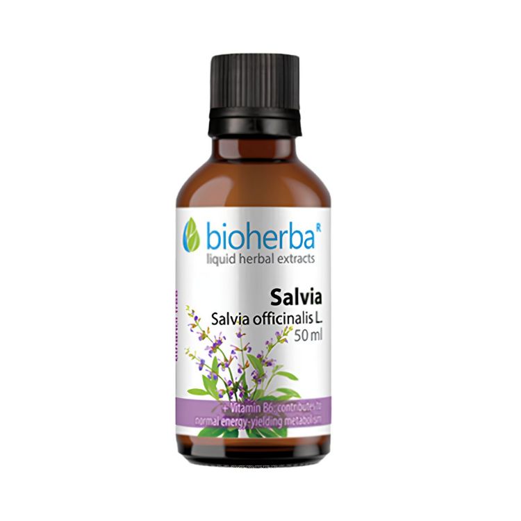 Kép Zsálya tinktúra cseppek – 50 ml – Bioherba
