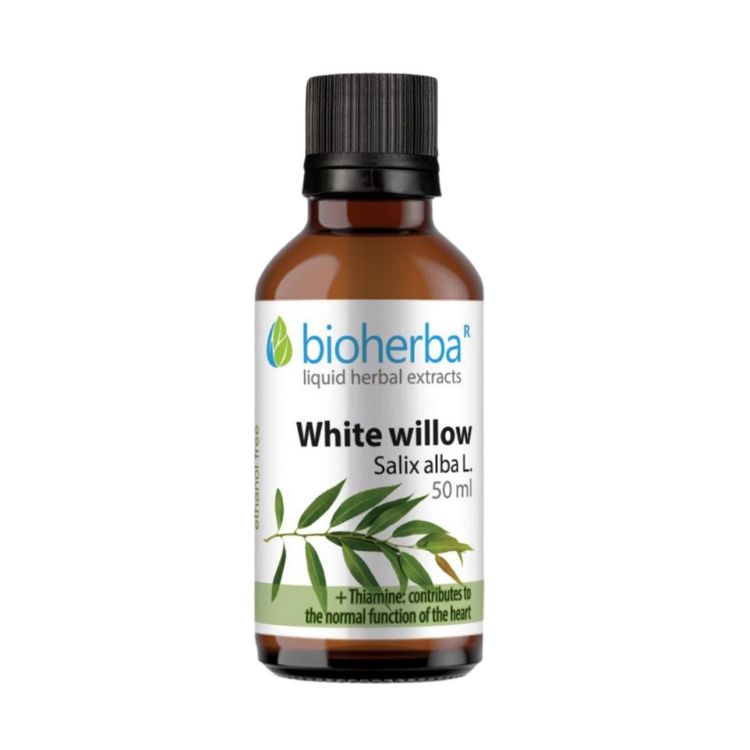 Kép Fehér fűz tinktúra cseppek – 50 ml – Bioherba