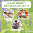 Kép Bajkáli csucsóka tinktúra 100 ml - Herbatica