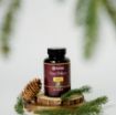 Kép 100% fenyőpollen – 90 kapszula – Herbatica