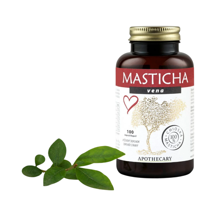 Kép Masticha Terapia Masticha Vena magas vérnyomás és koleszterinproblémák esetén – 100 tabletta