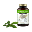 Kép Masticha Terapia Masticha Active kapszula emésztés támogatására – 100 kapszula Csomagolás: 100 tabletta