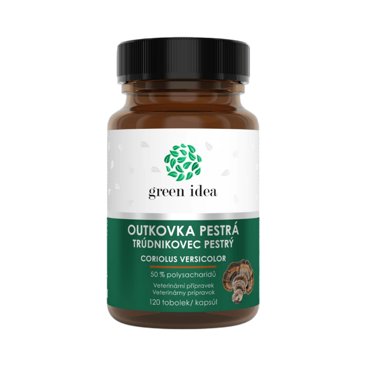 Kép Lepketapló Coriolus – 120 kapszula – Green idea