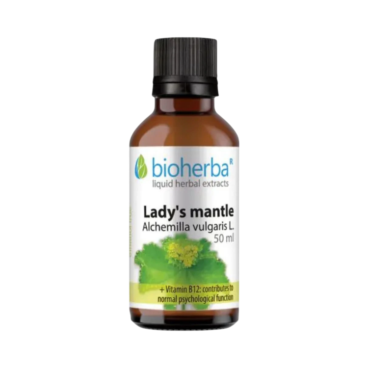 Kép Alchemilla tinktúra cseppek – 50 ml – Bioherba