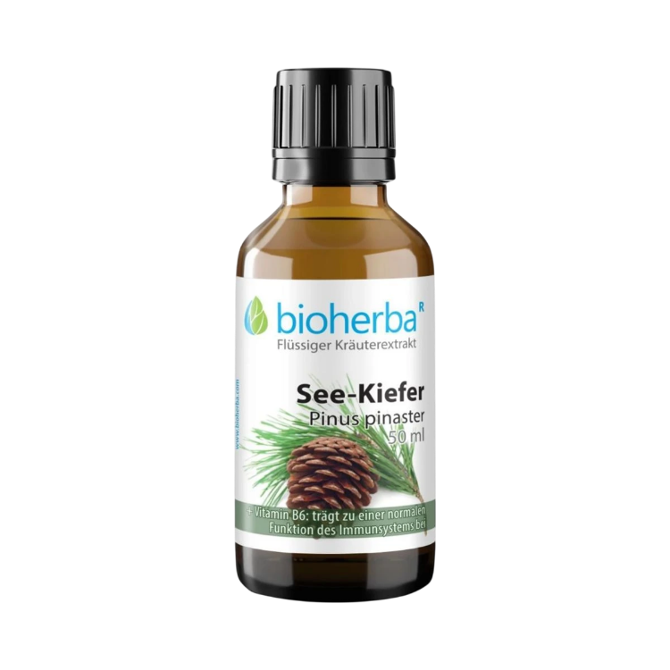 Kép Tengerparti fenyő tinktúra cseppek – 50 ml – Bioherba