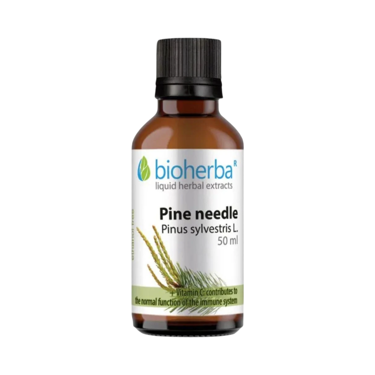 Kép Bioherba Erdeifenyő-hajtás tinktúra cseppek – 50 ml