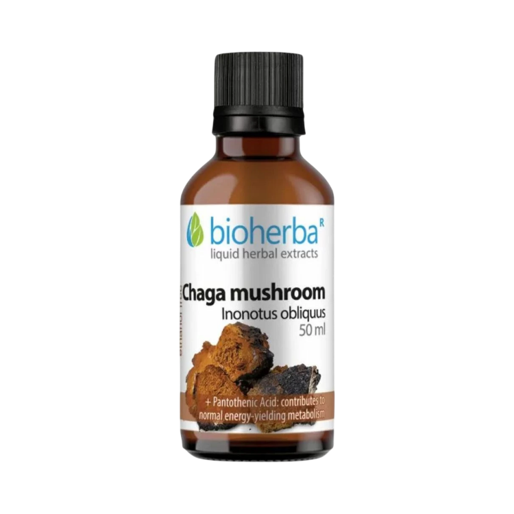 Kép Chaga tinktúra cseppek – 50 ml – Bioherba