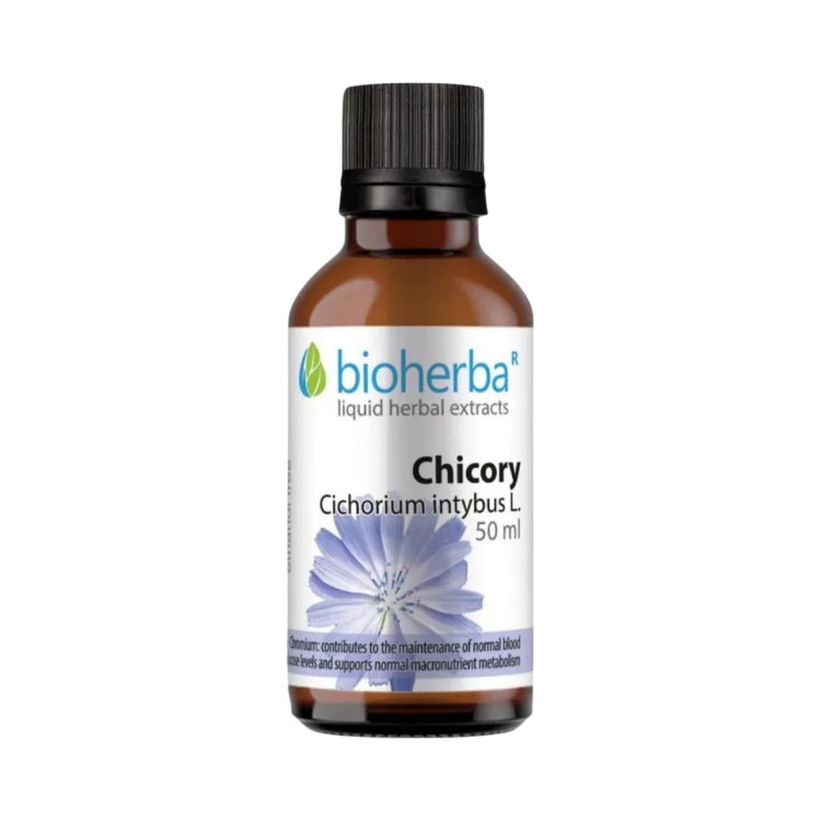 Kép Cikória (kávécikória) tinktúra cseppek – 50 ml – Bioherba
