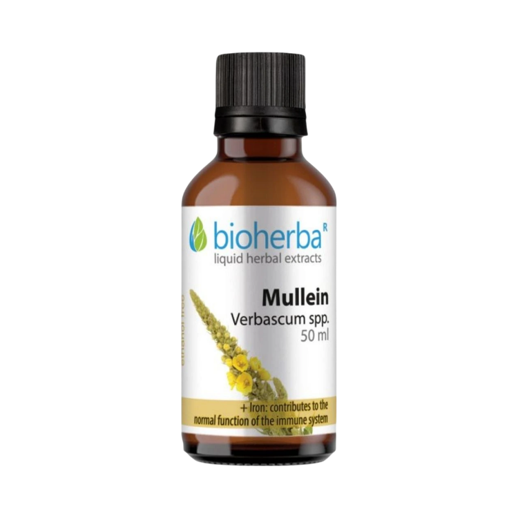 Kép Ökörfarkkóró tinktúra cseppek – 50 ml – Bioherba